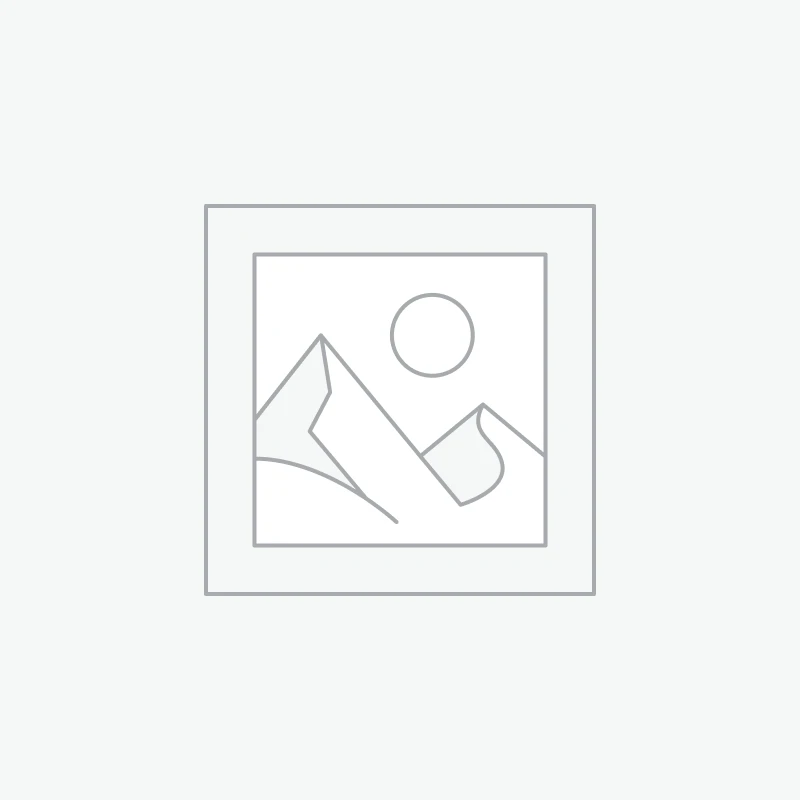 תפריט דגם כרכרת נסיכות